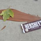 The Hershey Company (HSY): Blue-Chip Stock to Buy at 52-Week Lows