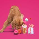 BARK® and Dunkin’® Celebrate Five Years of Partnership with Pumpkin Spice Dog Toys That Support a Great Cause