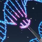 Sarepta and Roche halt DMD gene therapy’s use after second death