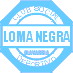 Loma Negra Cia Industria Argentina SA (LOMA) Q1 2025 Earnings Call Highlights: Navigating ...