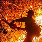 California wildfire fund may shield Edison balance sheet from fire claims, company says