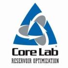 Core Laboratories Inc (CLB) Q4 2024 Earnings Call Highlights: Navigating Challenges with ...