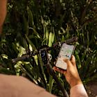 NIU Unveils Latest Electric Scooter Lineup with Enhanced Power and Extended Range for Urban Mobility