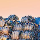 New Getty Images Report Finds Consumers Still Care About Sustainability and Expect Businesses to Lead