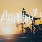 1Q25 Trend: US Producers Pivot on Market Uncertainty, Cut Capex and Rigs