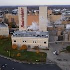 Anheuser-Busch invests $300M in US manufacturing amid beer optimism