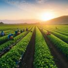 Is Archer-Daniels-Midland Company (ADM) the Best Farmland and Agriculture Stock to Invest in According to Hedge Funds?