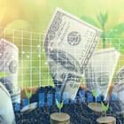 Best Growth Stocks to Buy for June 25th