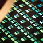 ON Semiconductor Stock Rises. The Chip Maker’s Worst Days Are Behind It, CEO Says.