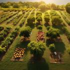 Is Bunge Global SA (BG) the Best Agriculture Stock to Buy Right Now?