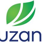 Suzano 2024 Annual Report on Form 20-F