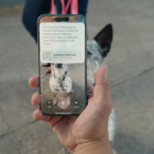 How to use Visual Intelligence, Apple's take on Google Lens