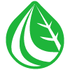 Earnings To Watch: Hyliion Holdings Corp (HYLN) Reports Q1 2025 Result