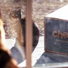 Chewy Stock’s Decline Is Over. Buy It.