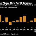 Foreign Funds Sour on US Corporate Bonds as Trump Sows Chaos