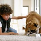 Chewy's Growth Is on Autopilot: The Power of Its $9.4 Billion Autoship Customer Sales