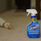 Clorox Stock: Is CLX Underperforming the Consumer Staples Sector?