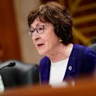 Fed's Collins says rate cuts later this year are possible
