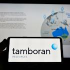 Industry Professional Stephanie Reed Resigns from Tamboran’s Board