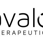 Avalo Encourages Stockholders to Vote FOR the Reverse Stock Split