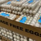 FDA raises Costco egg recall to highest risk level over salmonella fears