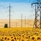 Kinder Morgan partner ArcLight acquires 25% interest in NGPL