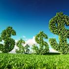 Renewable Energy & Battery Storage Stocks to Add to Your Portfolio Now