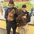 Comfort Dogs Join Detroit Police Department's Crisis Intervention Team