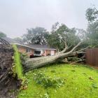 Hurricane Beryl death toll in Texas climbs to at least 36: Reports