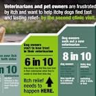 Elanco Releases New Report Highlighting the Significance of America's Itchy Dogs and the Need for Itch Relief