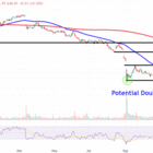 Watch These Dollar Tree Stock Price Levels After CEO Steps Down