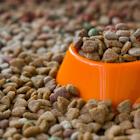 Nestlé takes minority stake in India’s Drools Pet Food Private