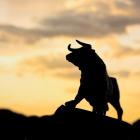 Bull Market Buys: 2 Growth Stocks to Own for the Long Run