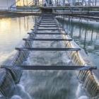 American Water Works Company (NYSE:AWK) stock falls 4.2% in past week as three-year earnings and shareholder returns continue downward trend