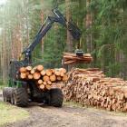 Rayonier's Q1 Earnings Miss Estimates, Revenues Decline Y/Y