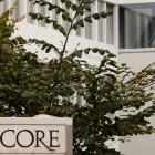 Glencore Decision on Coal Spinoff Expected Next Week