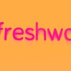 Why Freshworks (FRSH) Stock Is Down Today