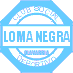 Loma Negra Cia Industria Argentina SA (LOMA) Q3 2024 Earnings Call Highlights: Navigating ...