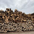 Rayonier Earns PEFC Sustainability Certification for Log Yard