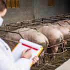 Tractor Supply Company (TSCO): A Bull Case Theory