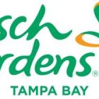 Busch Gardens Tampa Bay Reveals New Details for Wild Oasis, Including New Animals, New Interactive Attractions and New Ride