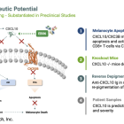 EDSA: IND Expected in 2025 for EB06 for the Treatment of Vitiligo…