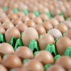 Cal-Maine Revenue Soars on Higher Egg Prices, Limited Supply