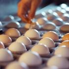 Cal-Maine Foods, Inc. (CALM): A Cheap Dividend Stock Being Targeted by Short Sellers