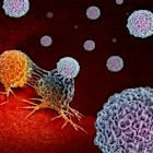 Bruker Stock Set to Gain From Acquisition of Austria's biocrates