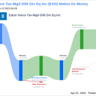 Eaton Vance Tax-Mgd Glbl Div Eq Inc's Dividend Analysis