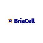 BriaCell Phase 2 Survival Data Beats Leading Standard in HR+ Breast Cancer