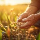 Is Nutrien Ltd. (NTR) the Best Agriculture Stock to Buy Right Now?