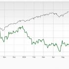 Bear of the Day: Polaris (PII)