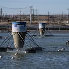 The Oil Patch’s ‘Manhattan Project’: How to Fix Its Gargantuan Water Problem